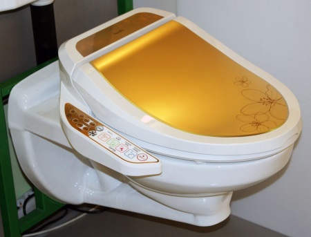 Lid-bidet